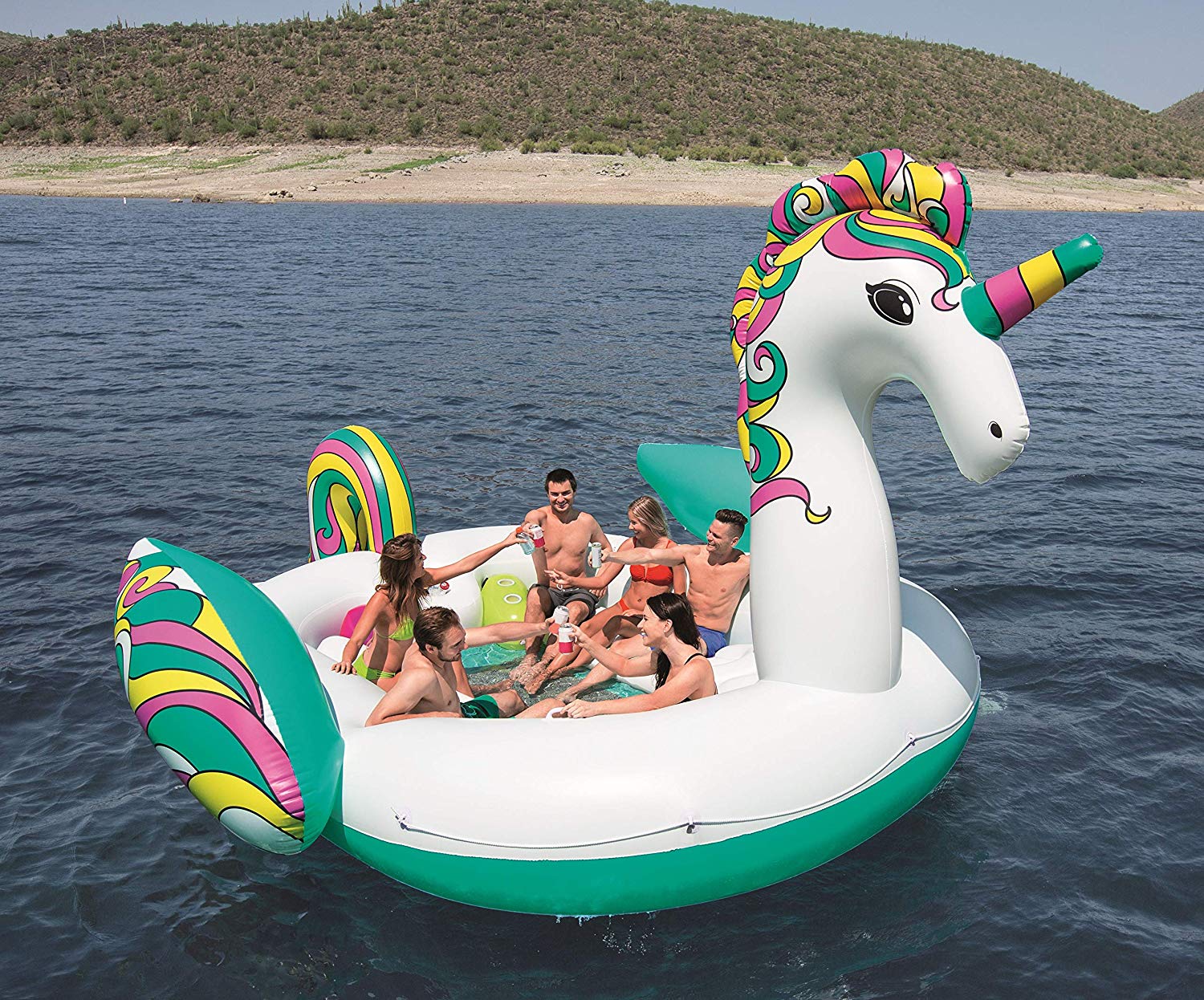 pool unicorn